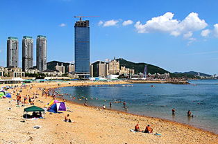 瓦房店天气预报