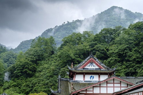 都江堰天气预报