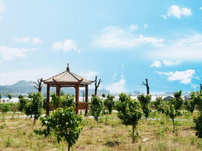 张家界天气预报