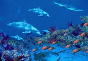 秦皇岛天气预报