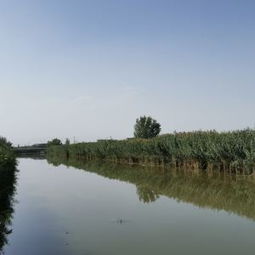 库尔勒天气预报