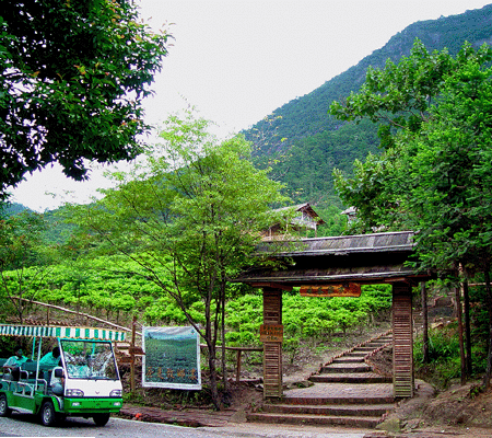 贺州天气预报